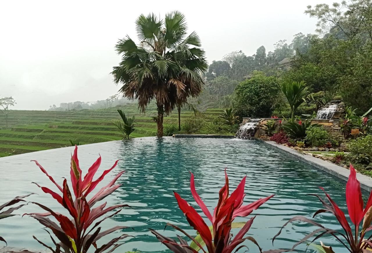 Puluong Home Pu Luong Luaran gambar