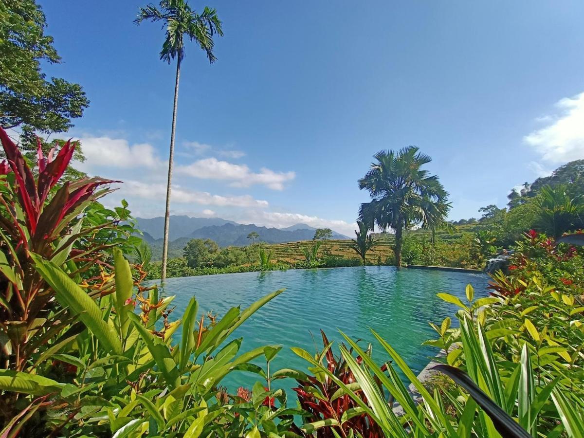 Puluong Home Pu Luong Luaran gambar