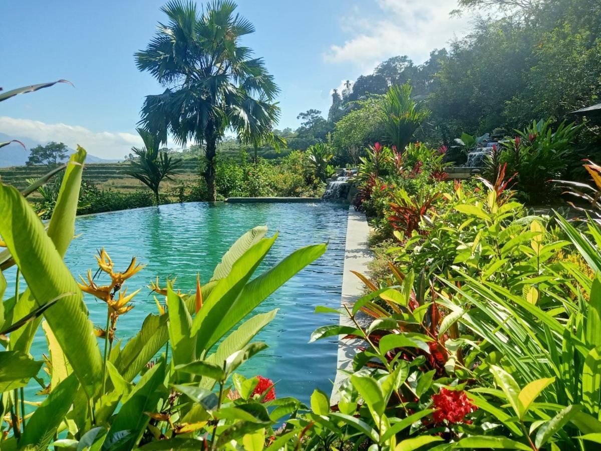 Puluong Home Pu Luong Luaran gambar